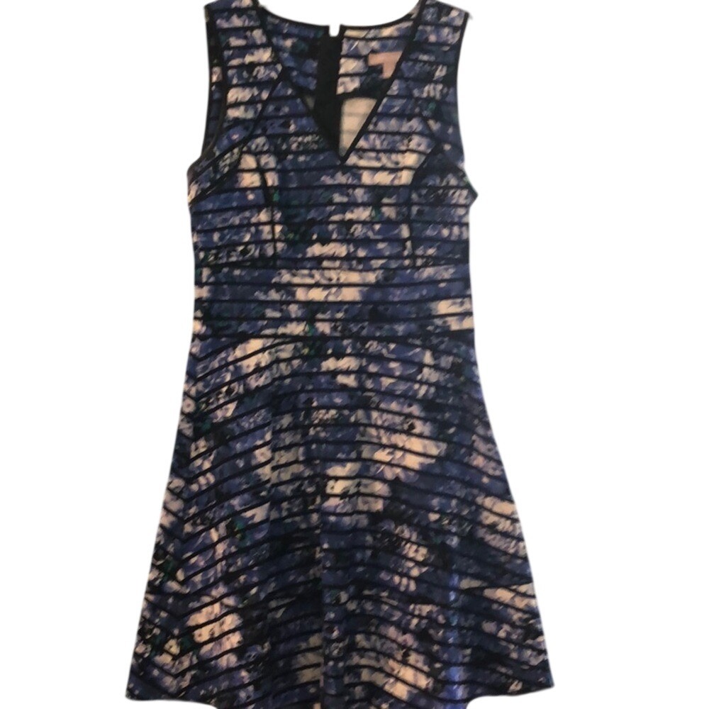 Banana Republic Blue Floral Striped‎ Fit and Flare V-Neck Dress Womens 8